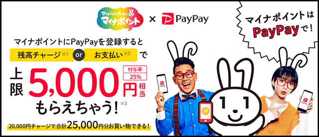 マイナポイント ×　PayPay